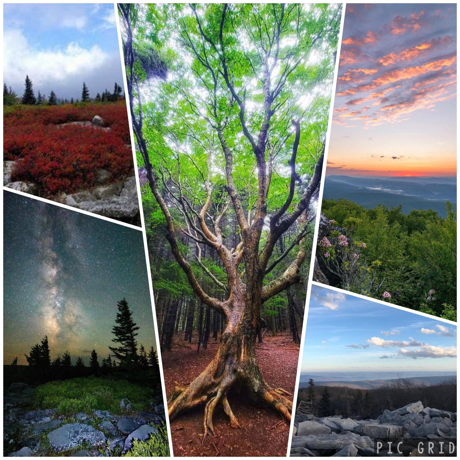 Dolly Sods is a favorite!  Beautiful landscape and the best nature has to offer.  Many hiking trails, fishing, relaxing and many photo ops while at our vacation rentals rustic cabin lodging in Seneca Rocks