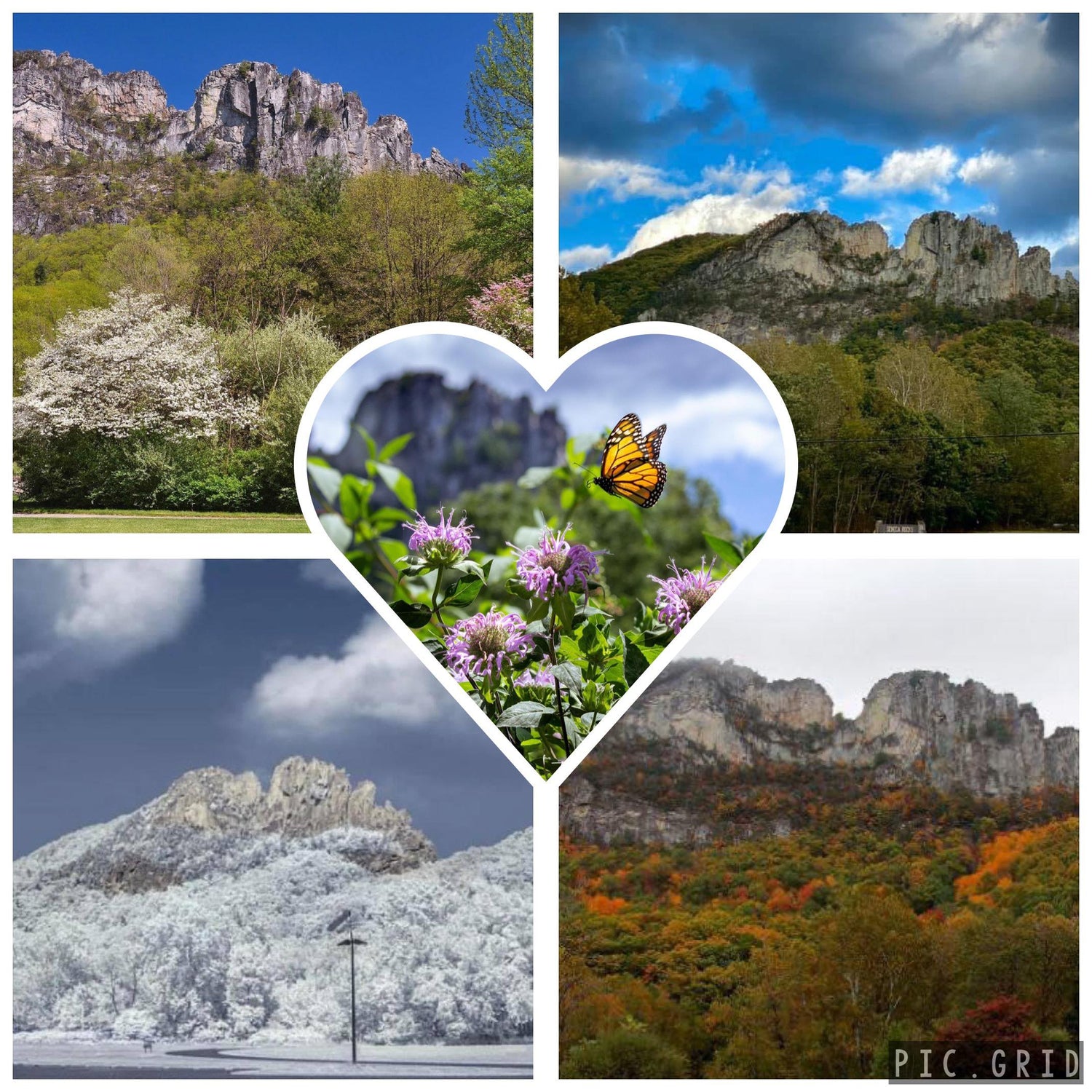 Seneca Rocks WV landmarks explore hiking trails rock climbing and breathtaking best scenery in the area with many scenic attractions enjoy outdoor beauty wild and wonderful west virginia